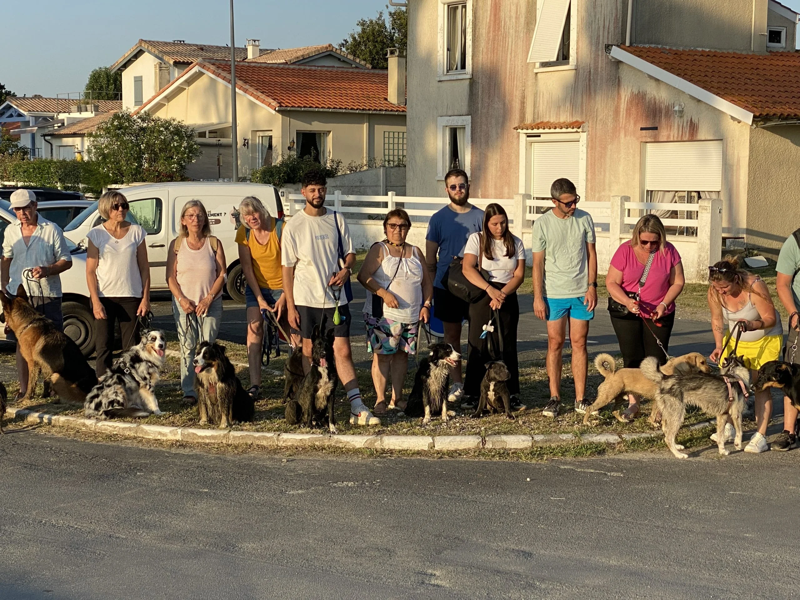 cours dressage collectifs à Rochefort