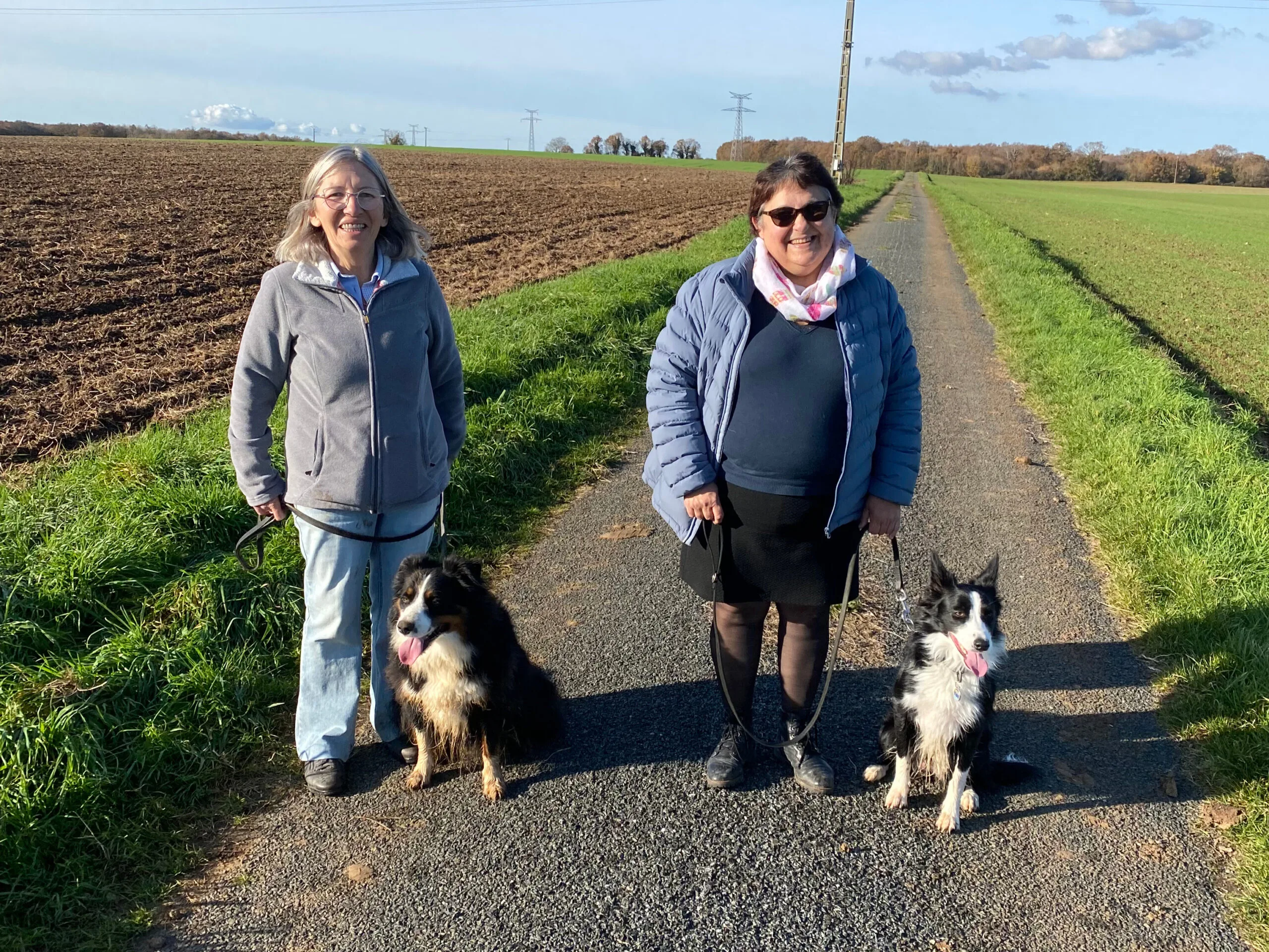 deux chiens éducation charente maritime